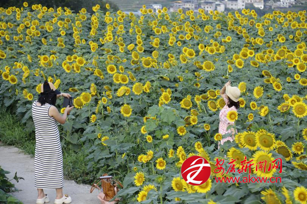 �Ϳ��������́�