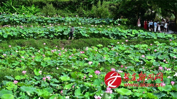 ��(x��)Ʒ���