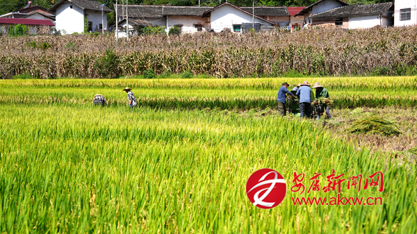 ˮ���_(k��i)砹Țw�}(c��ng)