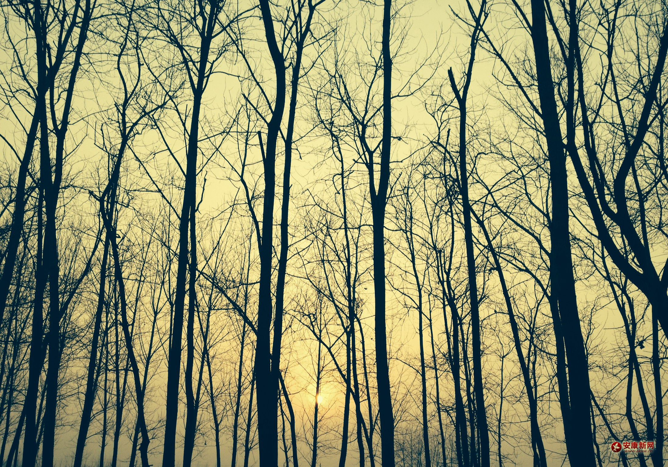 �l(xi��ng)�����