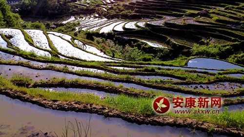 ��������(d��ng)�r