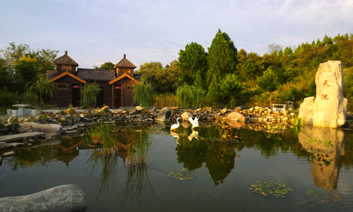 �������