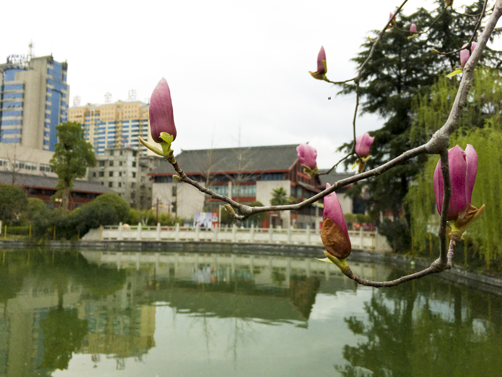 ����������������