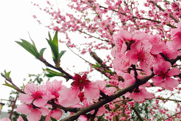 ���_(k��i)�M�@