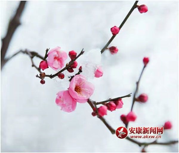 ���L(zh��ng)�L�w�����죬�l(shu��)��һ���փɰ룿