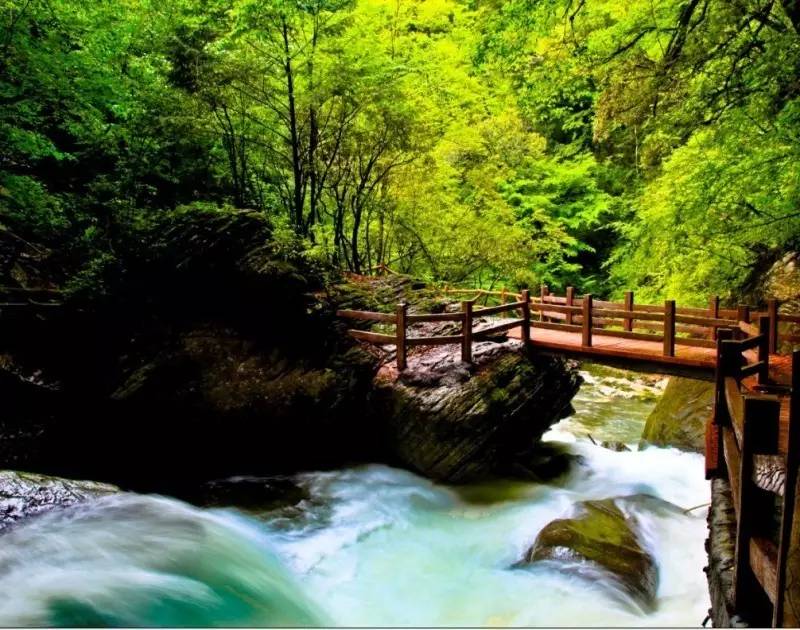 ���g�ɾ� ���(sh��)�{