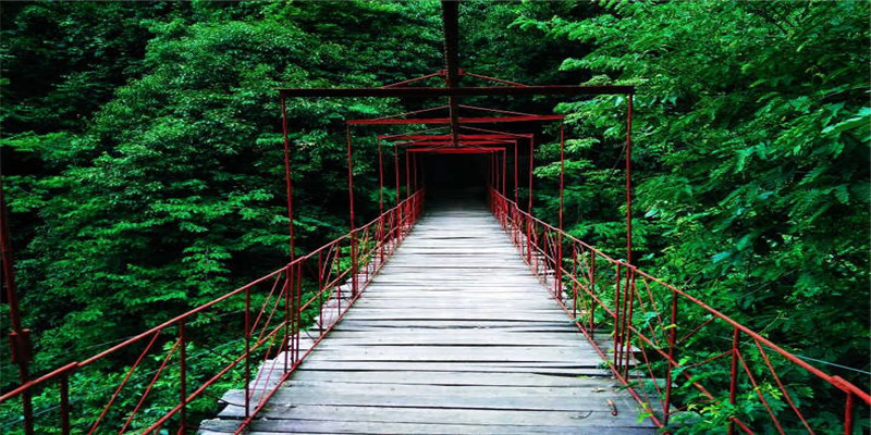 ��(m��ng)��t��