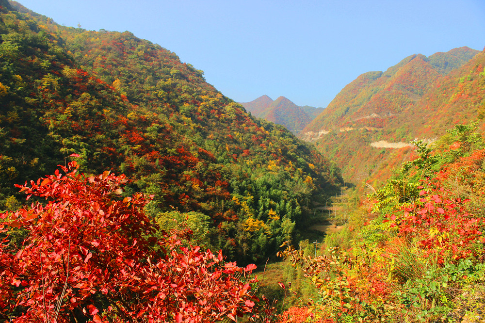 ����׌üt�~��(ji��)������