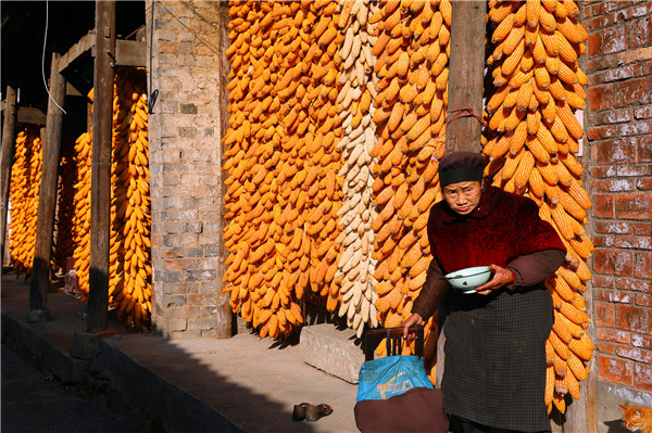 �����r(n��ng)��