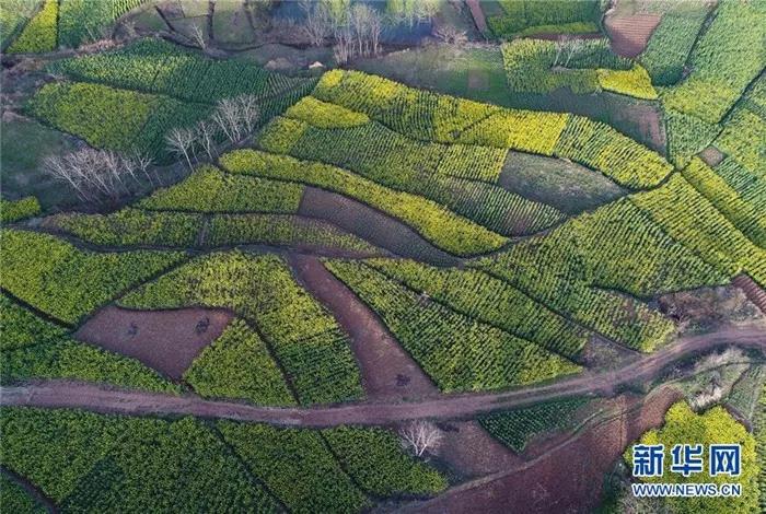 �������hꎽ�ɫ�Ͳ˻���