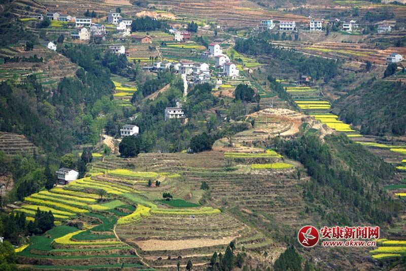 �D2.�����������̎���(gu��)��(n��i)ꑸ�������(d��)�߁���ɽ����ɽ����ɽ��������ص�6�N���ε�ò���c(di��n)�����˷�����Ϣ���@����˂����ò����